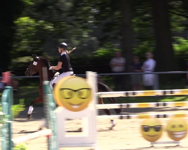 Reitturnier Datteln 2021