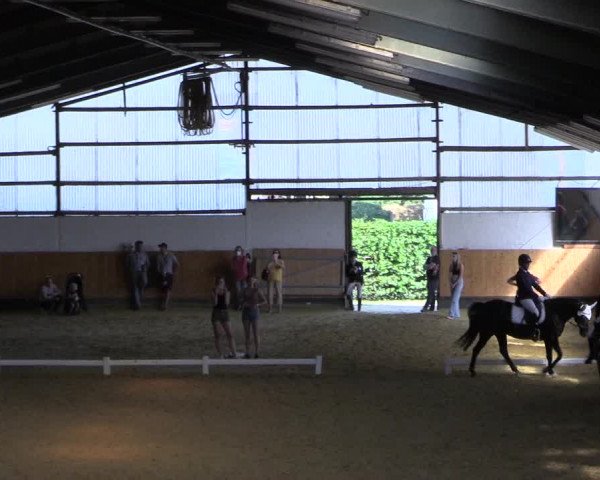 Reitturnier Datteln 2021