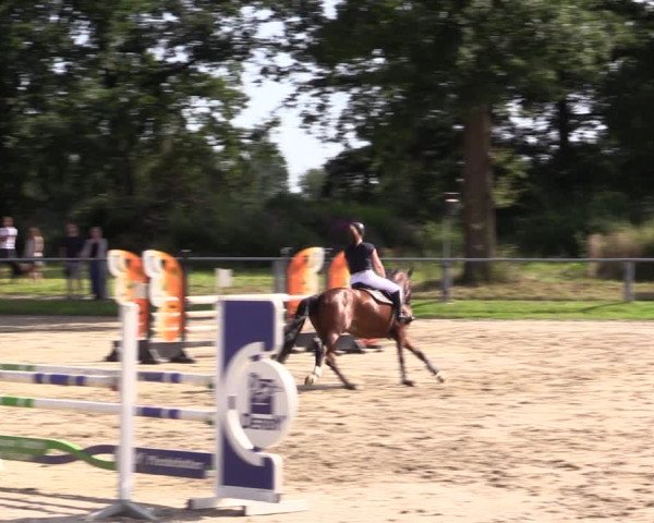 Reitturnier Datteln 2021