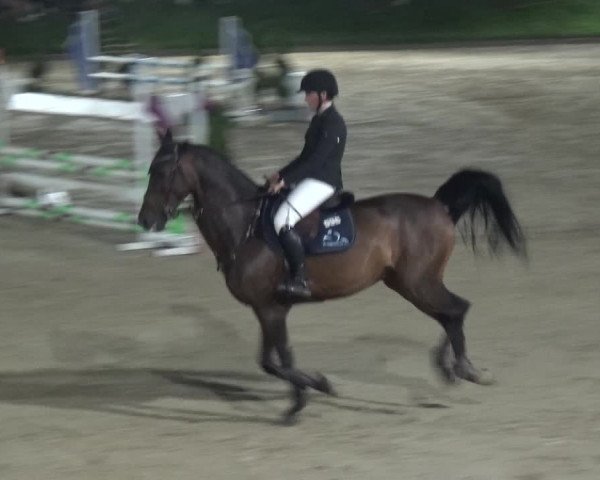 Bergisch Classics - Bergisch Gladbach - Springen 2021