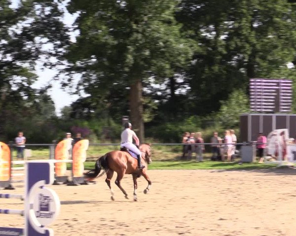 Reitturnier Datteln 2021