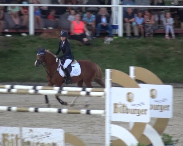 Bergisch Classics - Bergisch Gladbach - Springen 2021