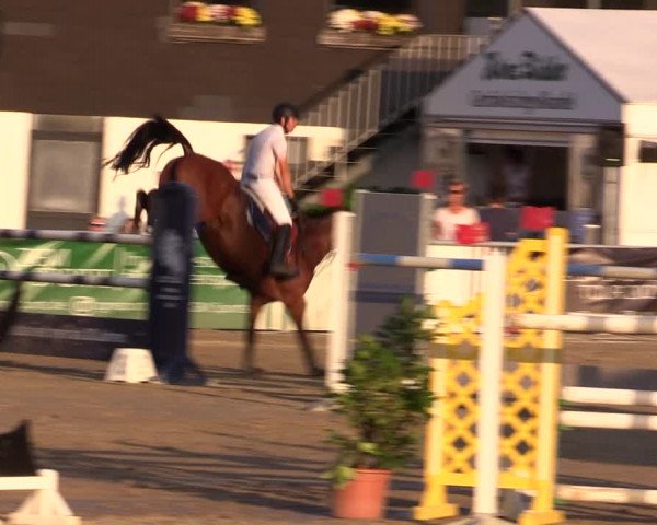 Reitturnier Datteln 2021