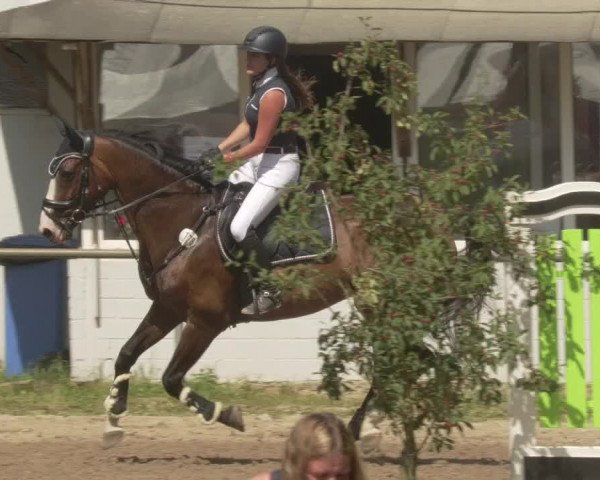Springturnier und Reiterfest Königsbach 2021