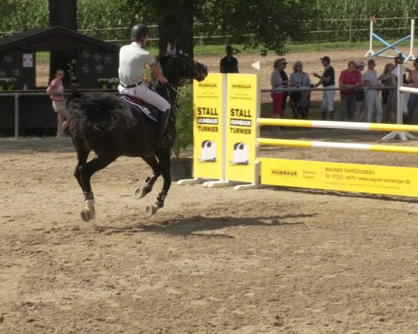 Springturnier und Reiterfest Königsbach 2021