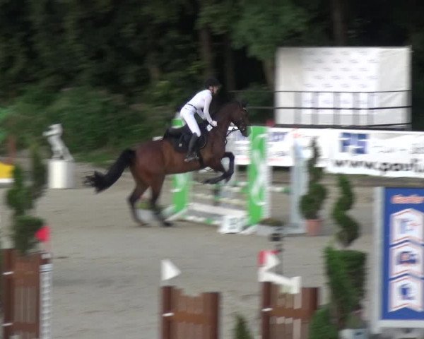 Bergisch Classics - Bergisch Gladbach - Springen 2021