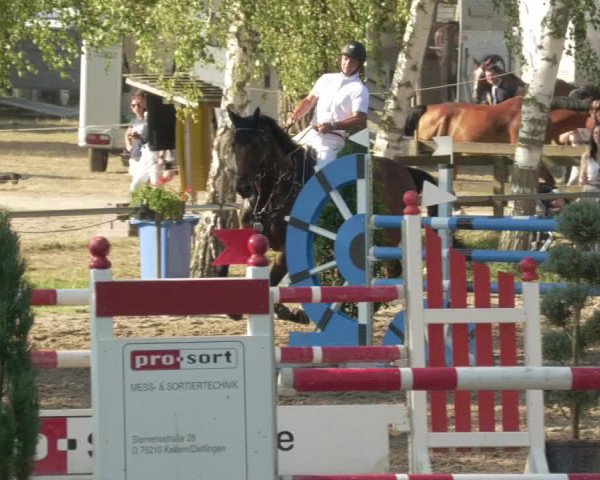 Springturnier und Reiterfest Königsbach 2021