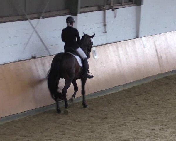 Reitturnier Datteln 2021