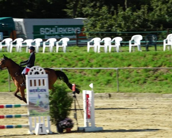 Reitturnier Kirchhoven-Vinn 2021