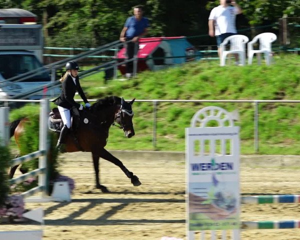 Reitturnier Kirchhoven-Vinn 2021
