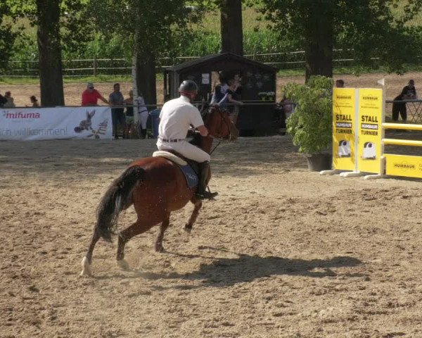Springturnier und Reiterfest Königsbach 2021