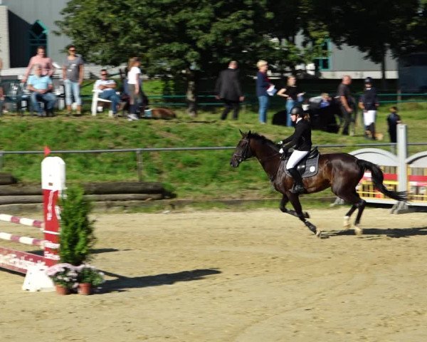 Reitturnier Kirchhoven-Vinn 2021