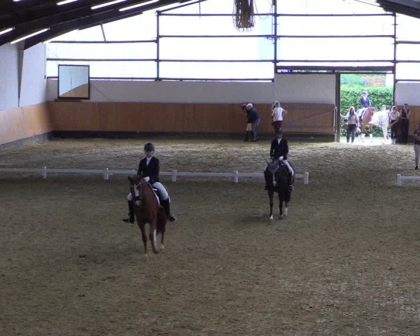 Reitturnier Datteln 2021