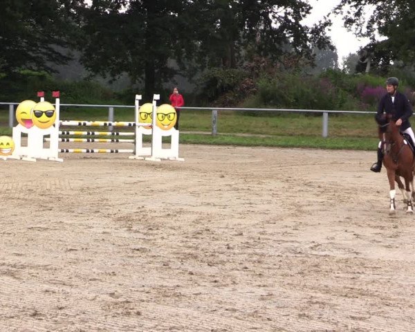 Reitturnier Datteln 2021