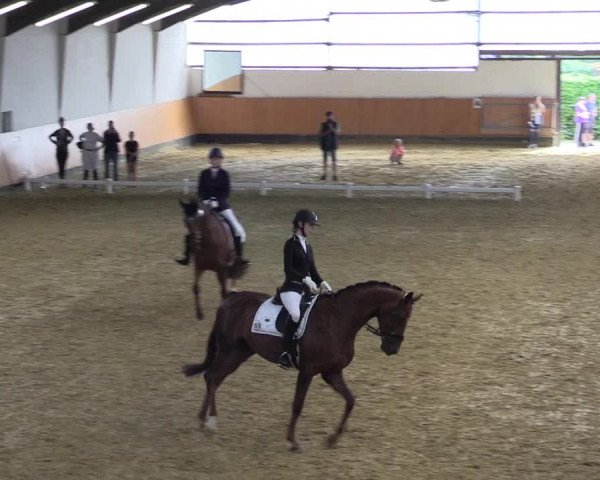 Reitturnier Datteln 2021