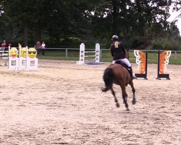 Reitturnier Datteln 2021