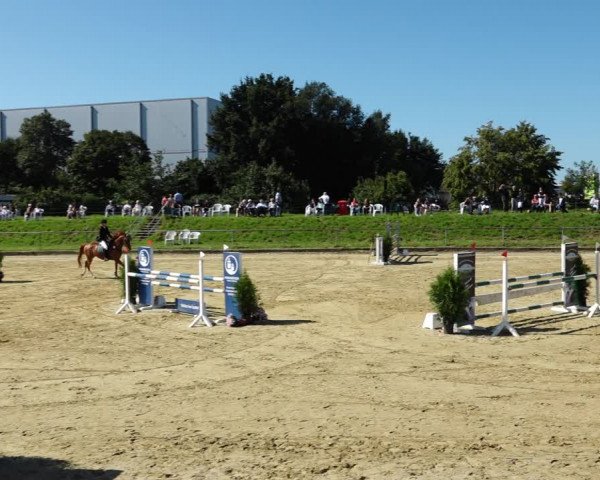 Reitturnier Kirchhoven-Vinn 2021