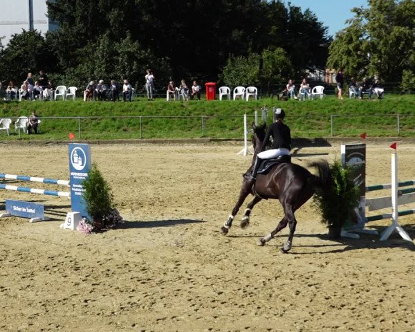 Reitturnier Kirchhoven-Vinn 2021