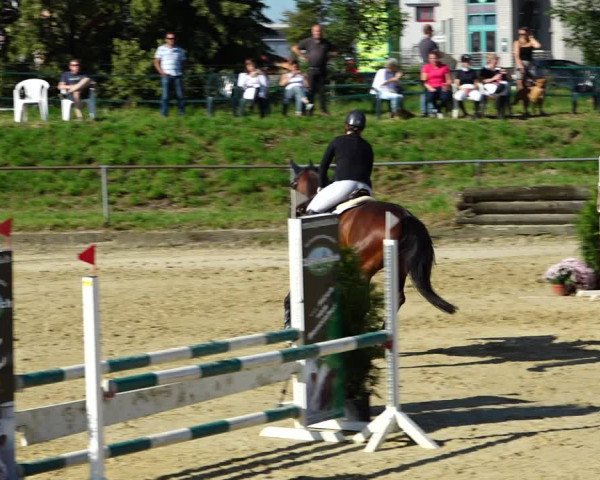 Reitturnier Kirchhoven-Vinn 2021