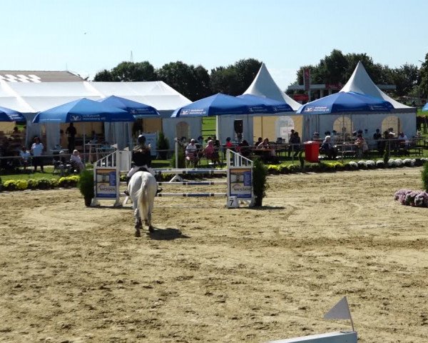 Reitturnier Kirchhoven-Vinn 2021