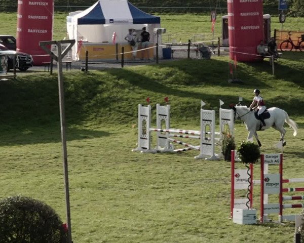 Springkonkurrenz Aadorf 2021