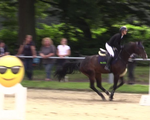 Reitturnier Datteln 2021