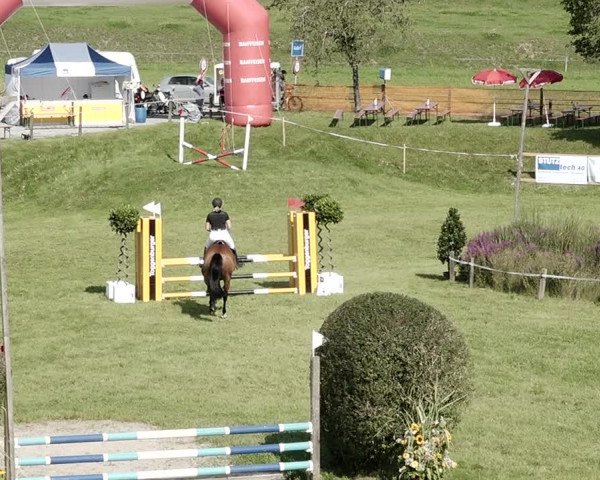 Springkonkurrenz Aadorf 2021
