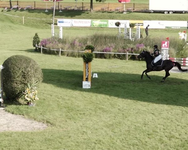 Springkonkurrenz Aadorf 2021