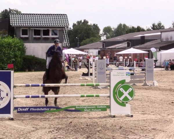 Reitturnier Datteln 2021