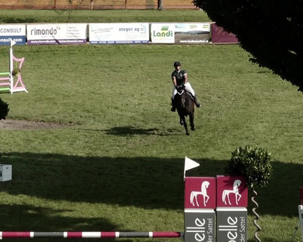 Springkonkurrenz Aadorf 2021