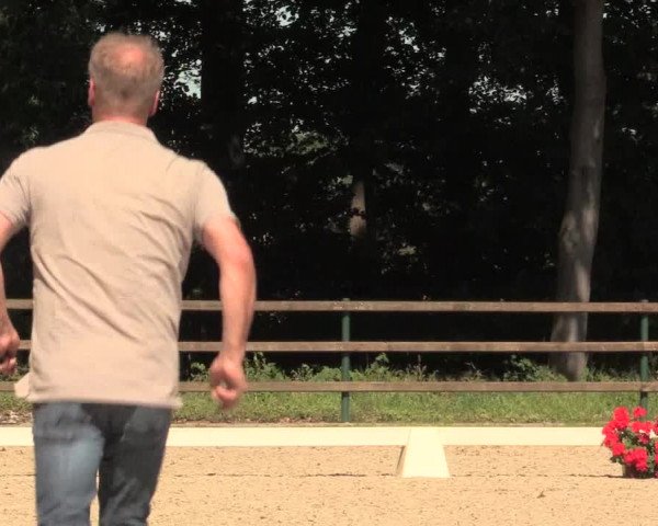 Stuten- und Fohlenschau in Cappeln 2016