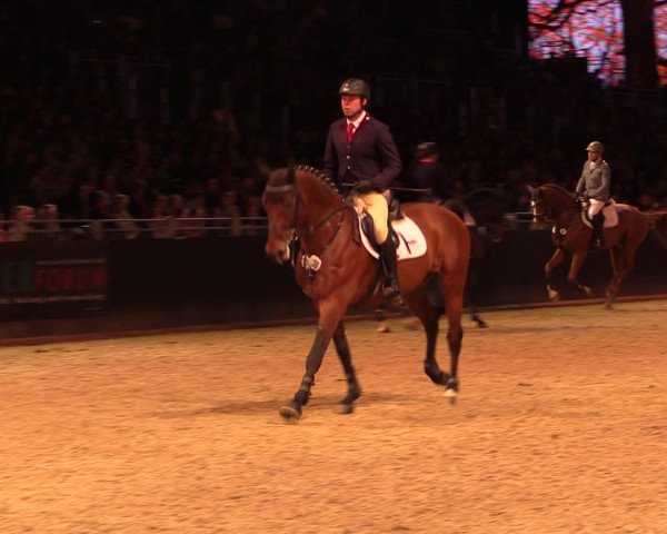 Equitana Hengstschau 2017