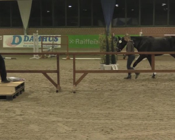 Freispringwettbewerb Heiden 2017