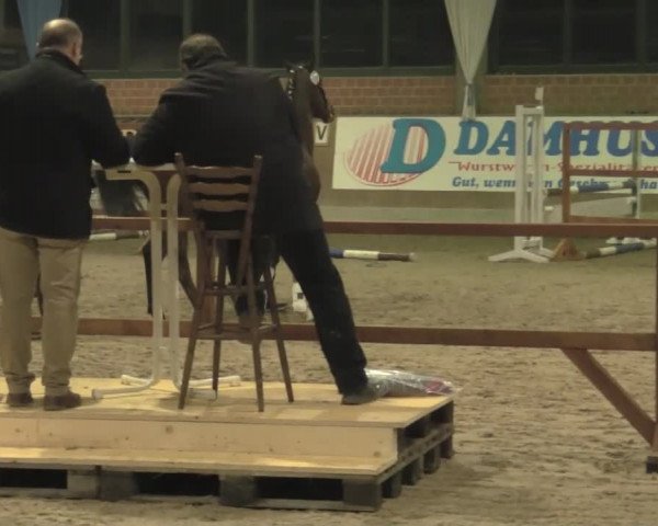 Freispringwettbewerb Heiden 2017