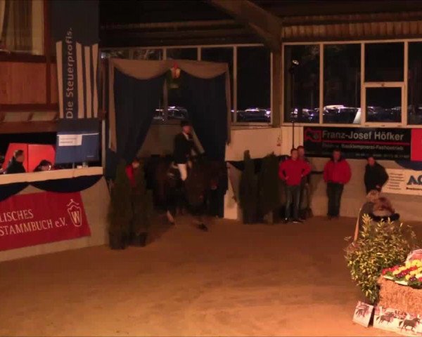 Hengstschau Holkenbrink 2017