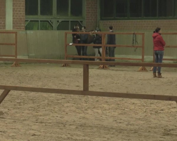 Freispringwettbewerb Heiden 2017