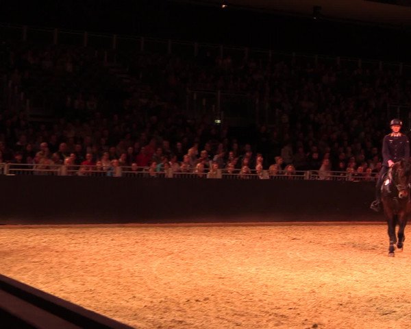 Equitana Hengstschau 2017