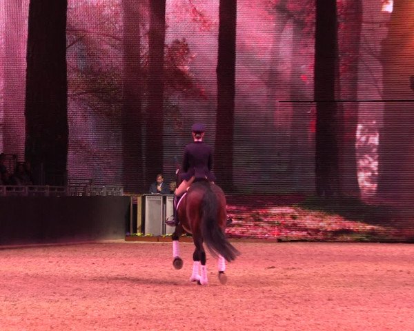 Equitana Hengstschau 2017