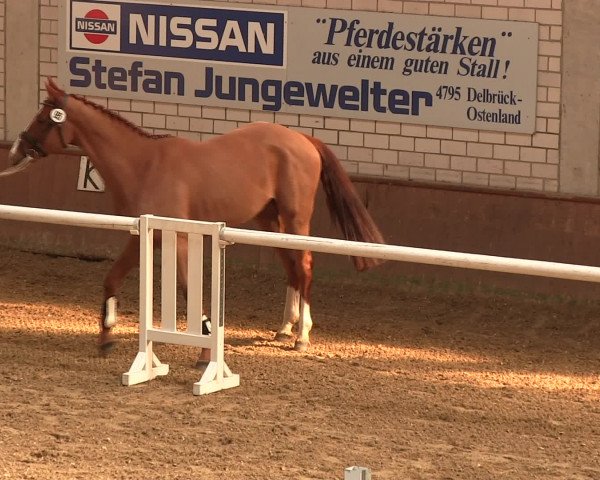 Freispringwettbewerb Delbrück-Ostenland 2017