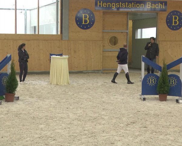 Hengststation Bachl