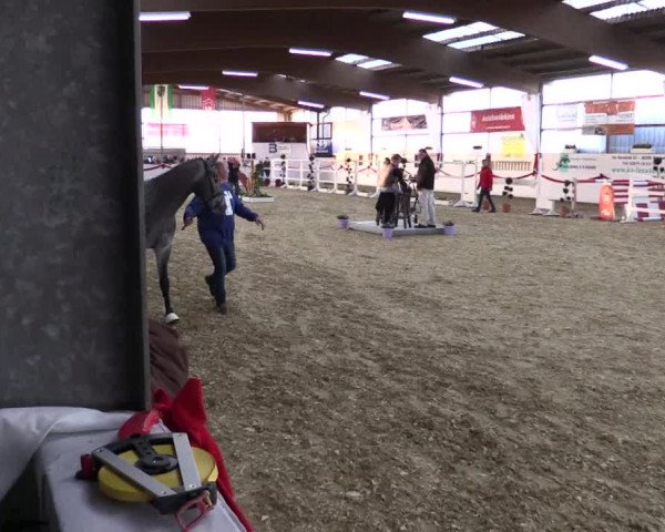 Finale Freispringwettbewerb Westfalen 2017