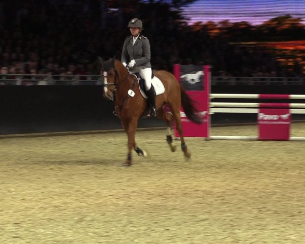 Equitana Hengstschau 2017