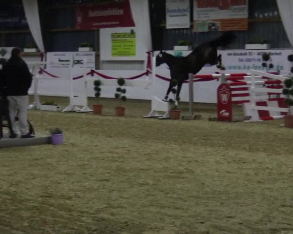 Finale Freispringwettbewerb Westfalen 2017