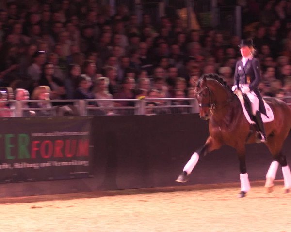 Equitana Hengstschau 2017