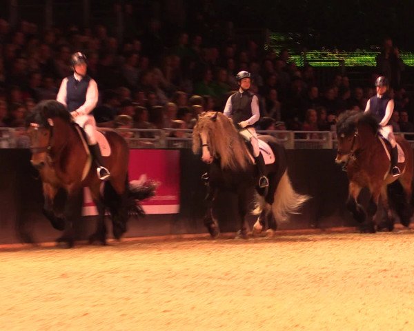 Equitana Hengstschau 2017
