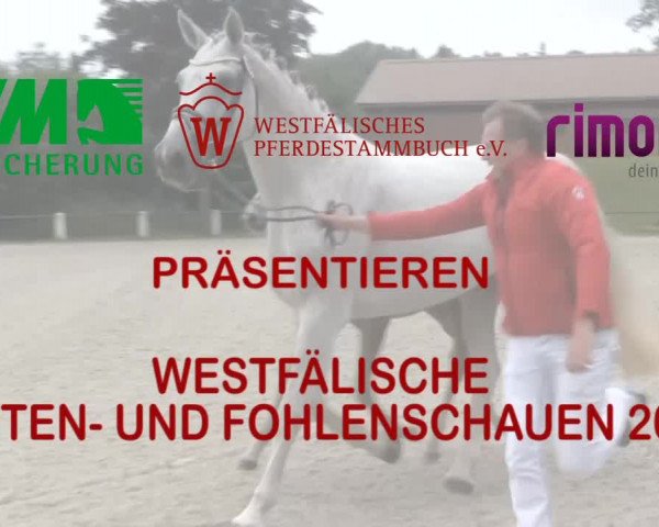 Stuten- und Fohlenschau Münster-Albachten 2017