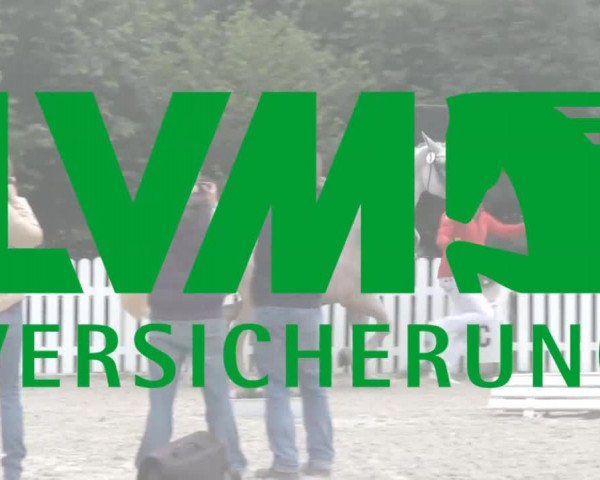 Stuten- und Fohlenschau Münster-Albachten 2017