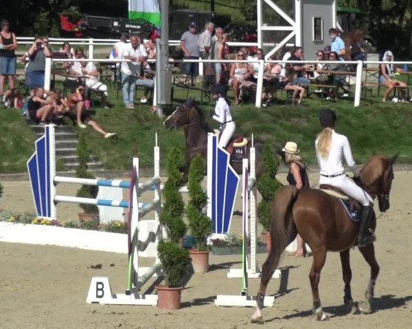 Bergisch Classics - Bergisch Gladbach - Springen 2021