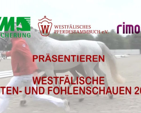 Stuten- und Fohlenschau Bedburg 2017