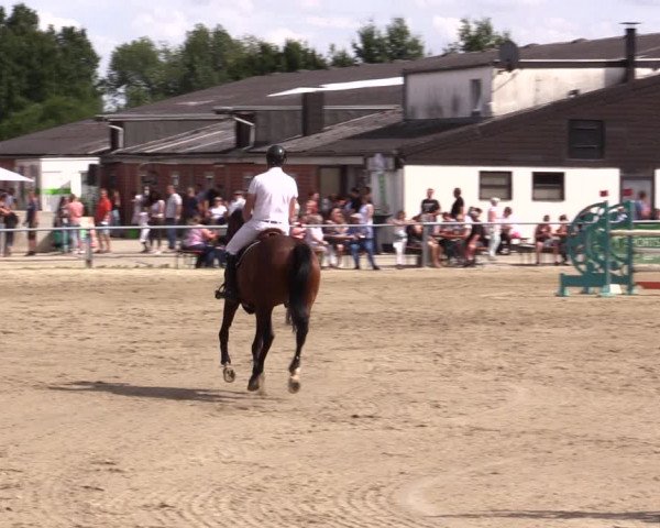 Reitturnier Datteln 2021